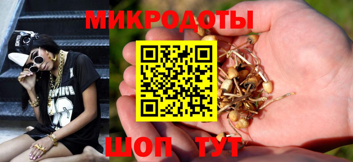 Черняховск  Псилоцибиновые грибы Cubensis  Вход с VPN  Псилоцибиновые грибы прущие грибы 